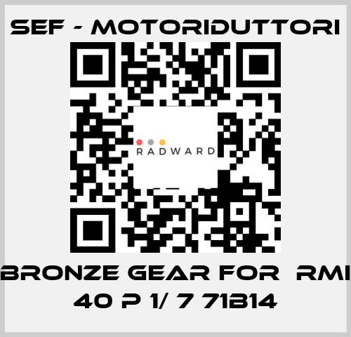 bronze gear for  RMI 40 P 1/ 7 71B14 SEF - MOTORIDUTTORI