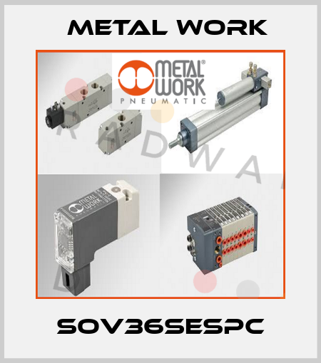SOV36SESPC Metal Work