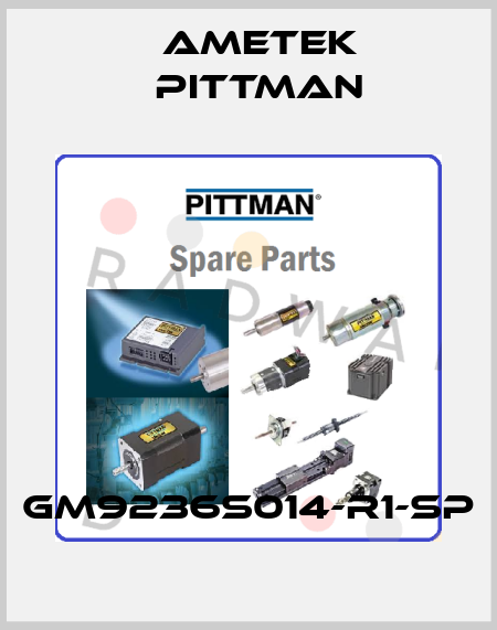 GM9236S014-R1-SP Ametek Pittman
