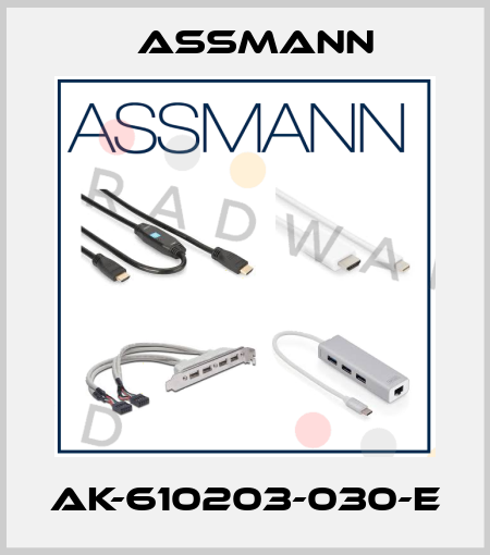 AK-610203-030-E Assmann