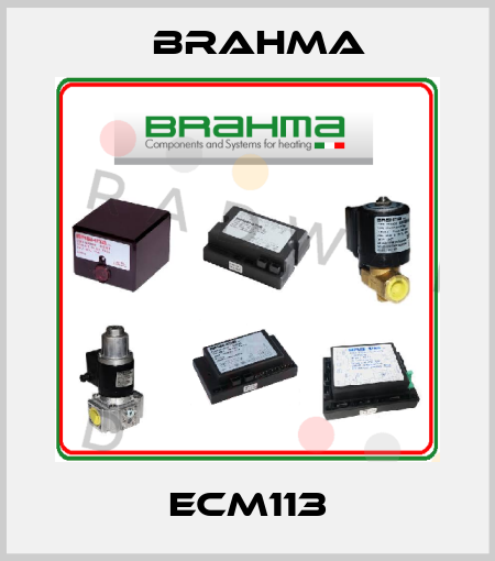 ECM113 Brahma