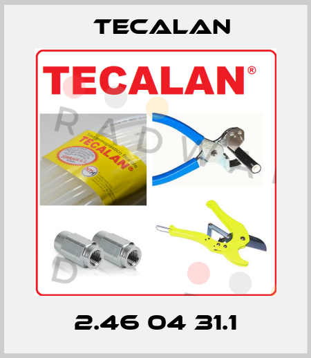 2.46 04 31.1 Tecalan