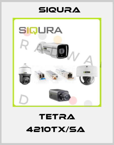TETRA 4210TX/SA  Siqura