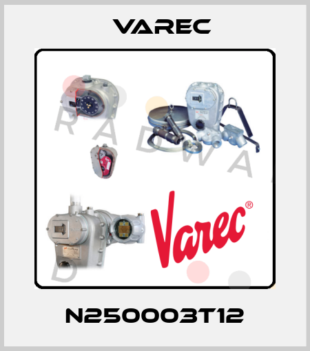 N250003T12 Varec