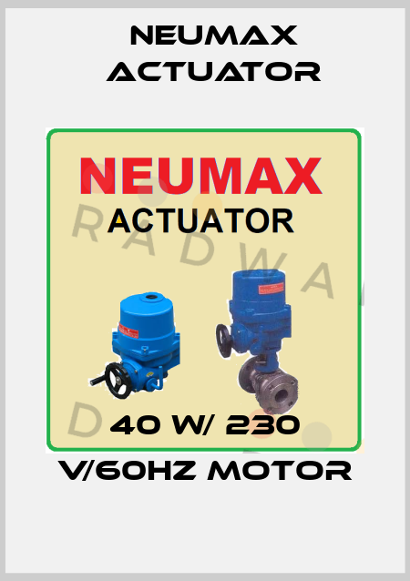 40 W/ 230 V/60Hz motor Neumax Actuator