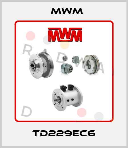 TD229EC6 MWM