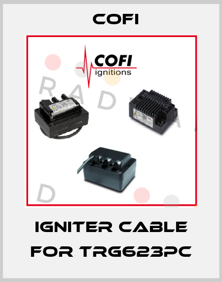 igniter cable for TRG623PC Cofi