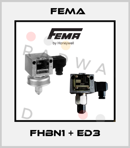 FHBN1 + ED3 FEMA