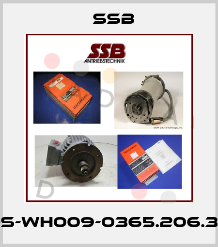DS-WH009-0365.206.35 SSB