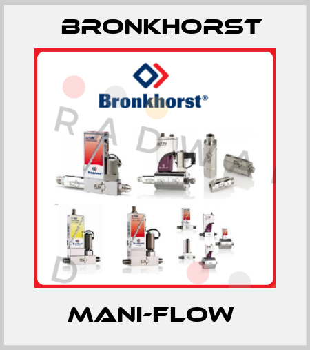 MANI-FLOW  Bronkhorst