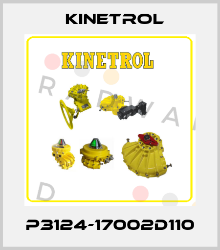 P3124-17002D110 Kinetrol