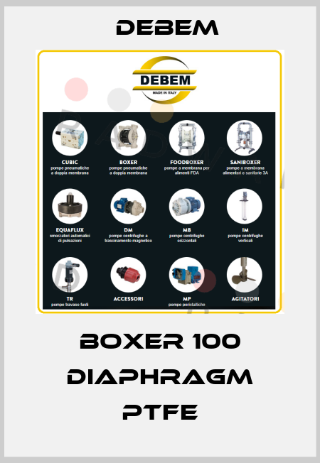 BOXER 100 DIAPHRAGM PTFE Debem