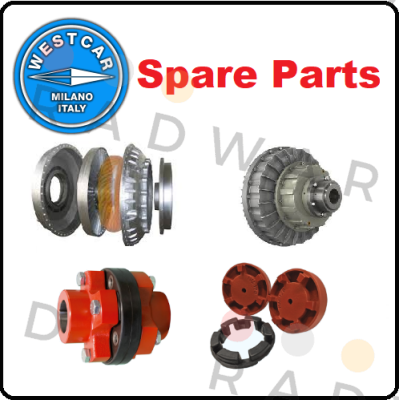 ROTOFLUID COUPLING ALFA SC-F60K02 DIA.75 G7 Westcar