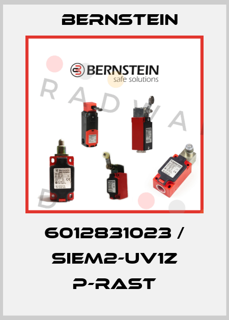 6012831023 / SIEM2-UV1Z P-RAST Bernstein