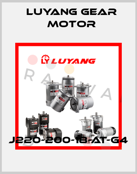 J220-200-18-AT-G4 Luyang Gear Motor
