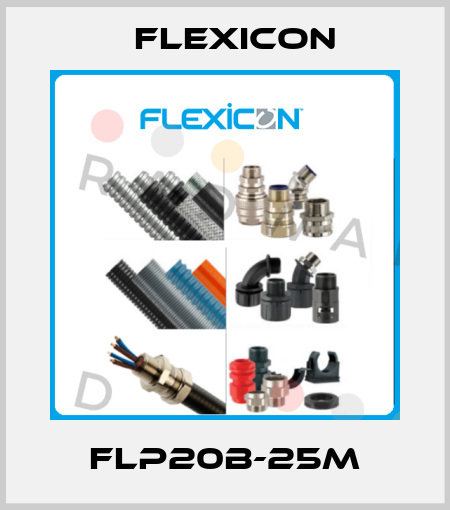FLP20B-25M Flexicon