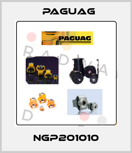 NGP201010 Paguag