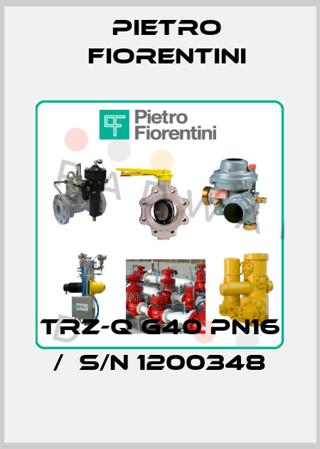 TRZ-Q G40 PN16 /  S/N 1200348 Pietro Fiorentini
