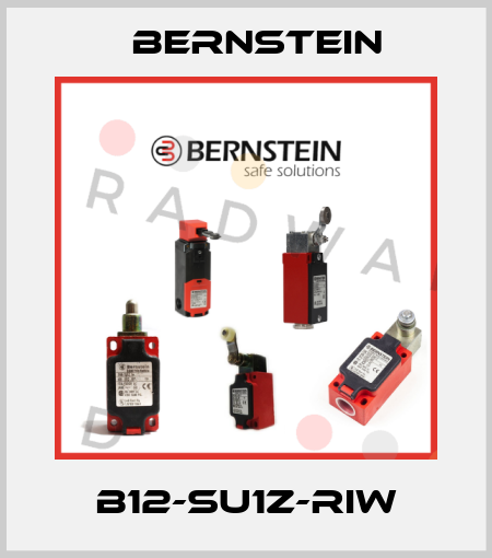B12-SU1Z-RIW Bernstein