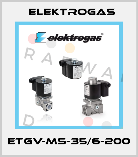 ETGV-MS-35/6-200 Elektrogas