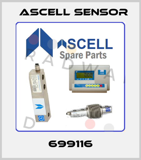 699116 Ascell Sensor