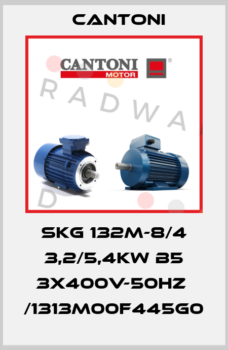 SKG 132M-8/4 3,2/5,4kW B5 3x400V-50Hz  /1313M00F445G0 Cantoni