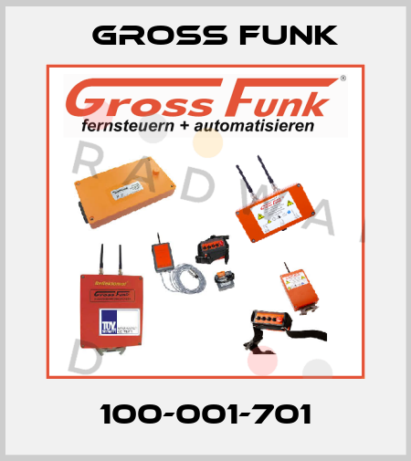100-001-701 Gross Funk