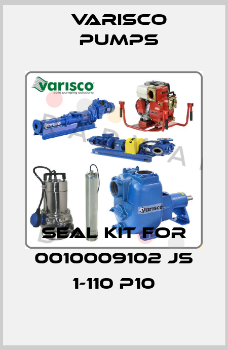 Seal kit for 0010009102 JS 1-110 P10 Varisco pumps