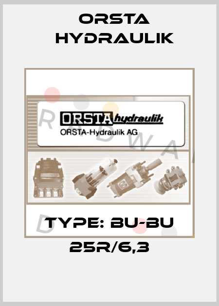 Type: Bu-Bu 25R/6,3 Orsta Hydraulik