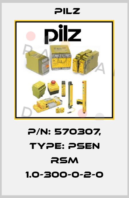 p/n: 570307, Type: PSEN rsm 1.0-300-0-2-0 Pilz