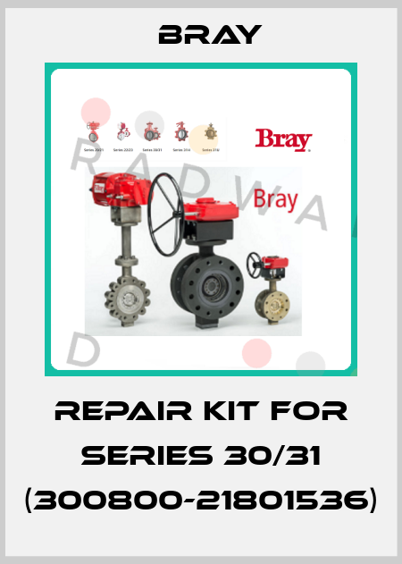 repair kit for Series 30/31 (300800-21801536) Bray