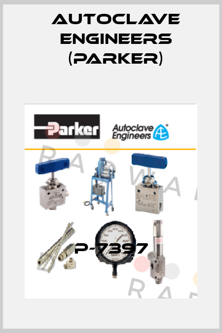 P-7397 Autoclave Engineers (Parker)