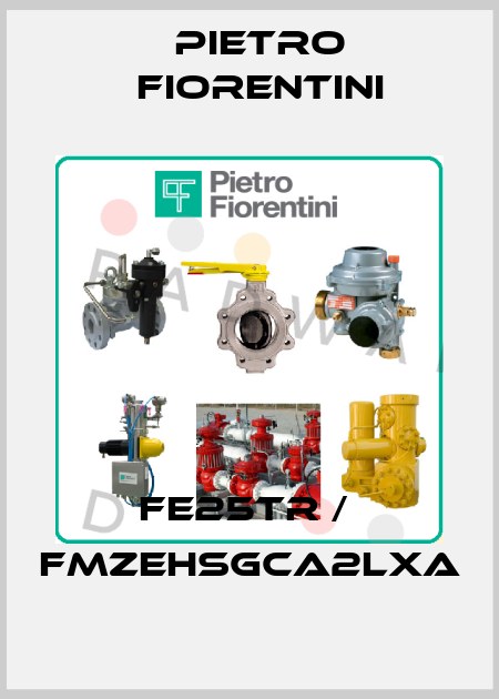 FE25TR /  FMZEHSGCA2LXA Pietro Fiorentini