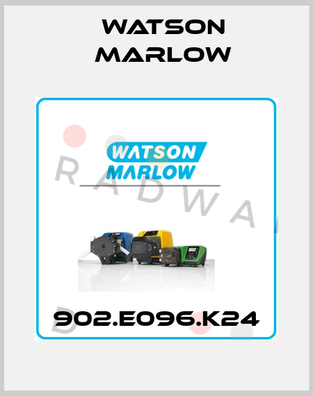 902.E096.K24 Watson Marlow