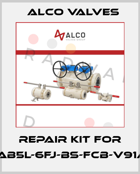 repair kit for 13DD1AB5L-6FJ-BS-FCB-V91A-269 Alco Valves