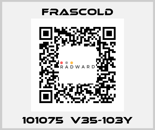 101075  V35-103Y Frascold