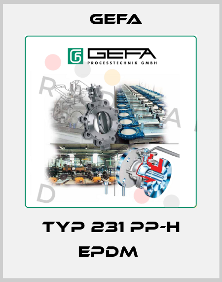 TYP 231 PP-H EPDM  Gefa