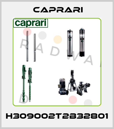 H309002T2B32801 CAPRARI 