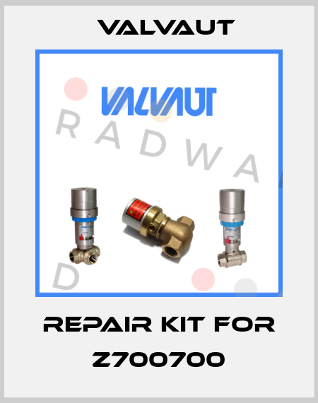 Repair kit for Z700700 Valvaut