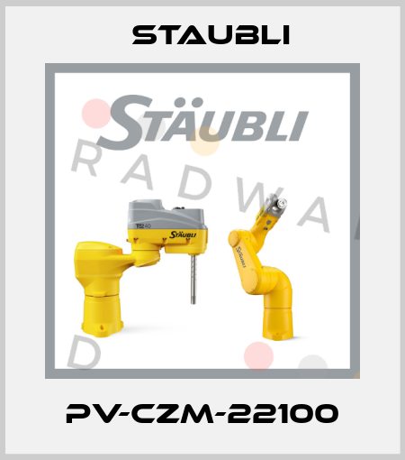 PV-CZM-22100 Staubli