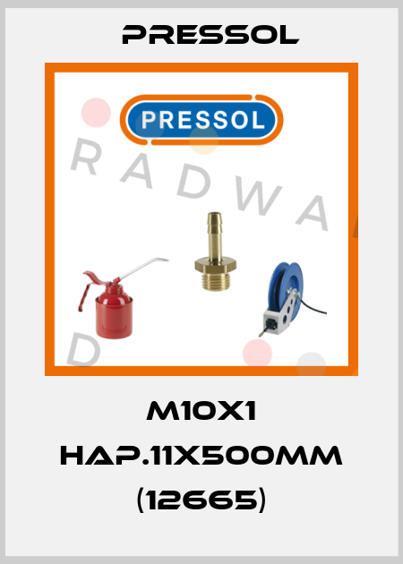 M10X1 HAP.11X500MM (12665) Pressol