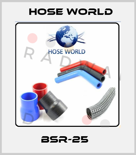 BSR-25   HOSE WORLD