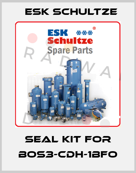 Seal kit for BOS3-CDH-1BFO Esk Schultze