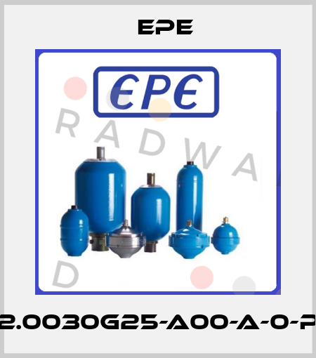 2.0030G25-A00-A-0-P Epe