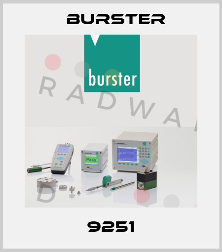 9251 Burster