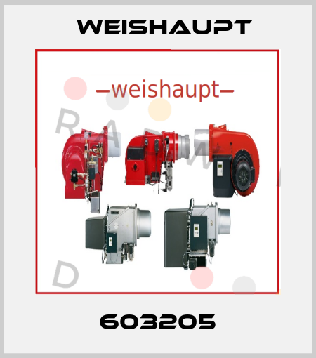 603205 Weishaupt