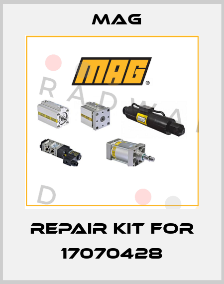 repair kit for 17070428 Mag
