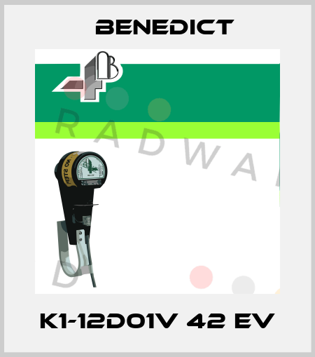 K1-12D01V 42 EV Benedict