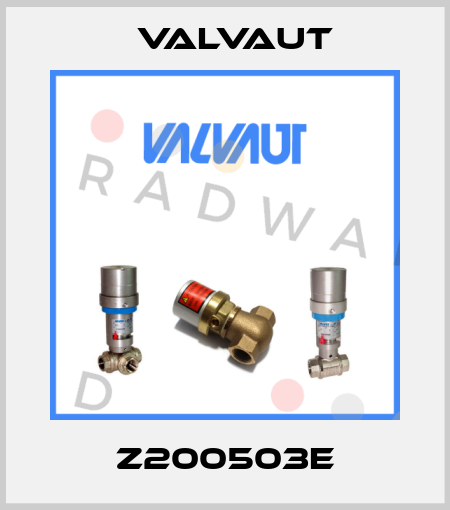 Z200503E Valvaut