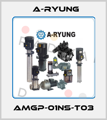AMGP-01NS-T03 A-Ryung